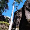 IMG-20220705-WA0043
