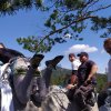 IMG-20220706-WA0023